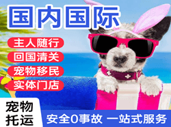 三义空运地址国际宠物托运 【国
